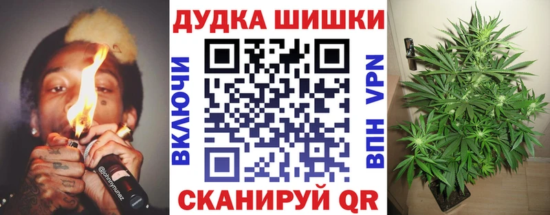 Канабис гибрид  Славгород 